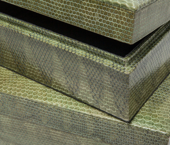 Variant Image 2