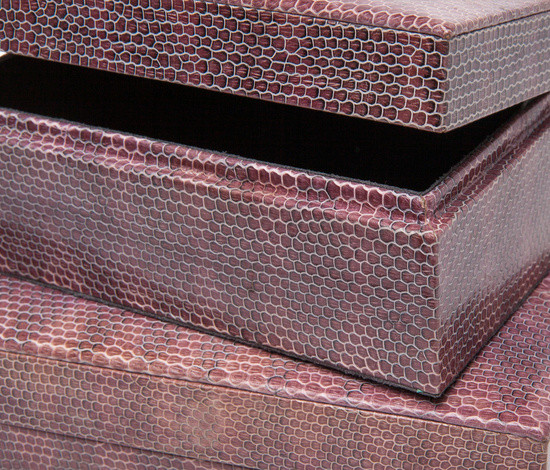 Variant Image 2