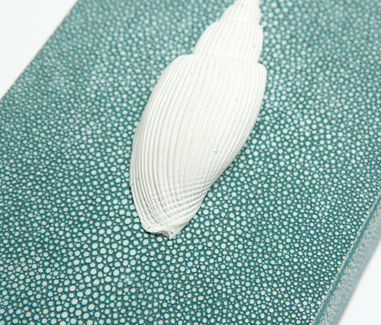 Variant Image 2