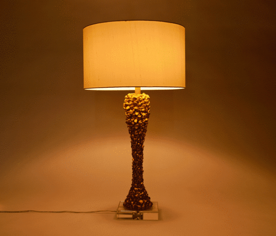 Variant Image 2