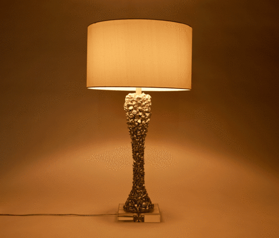 Variant Image 2