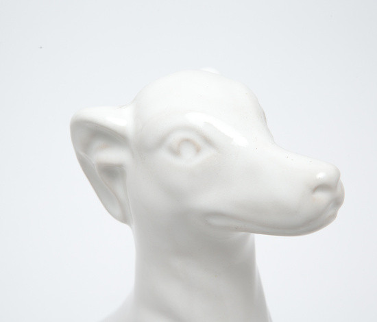 Variant Image 2