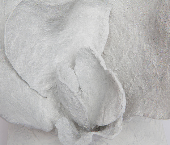 Variant Image 2