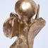 Variant Image 2
