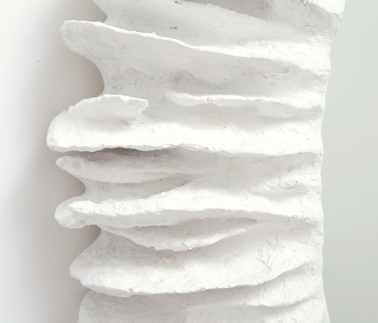 Variant Image 2