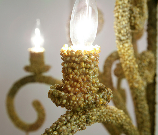 Variant Image 2