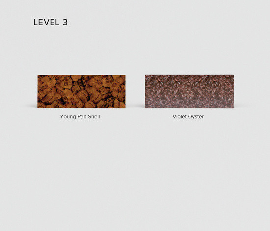 Variant Image 3