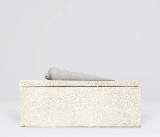 ANNA Main Image